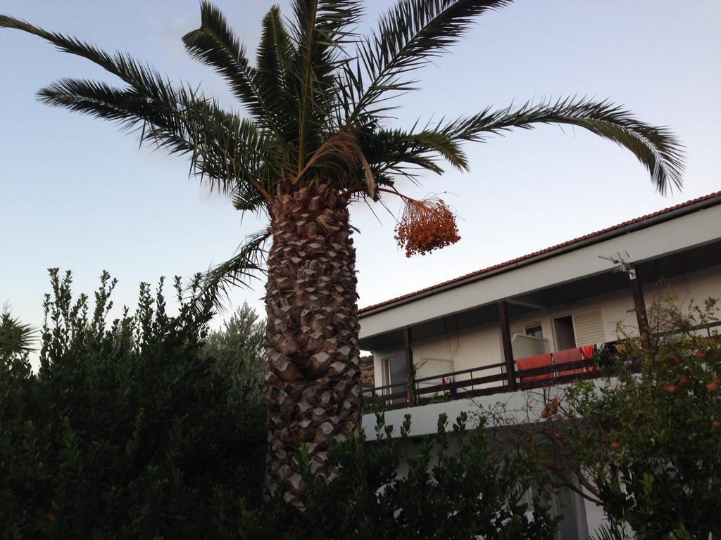 Sunningdale Hotel Agia Galini Eksteriør bilde